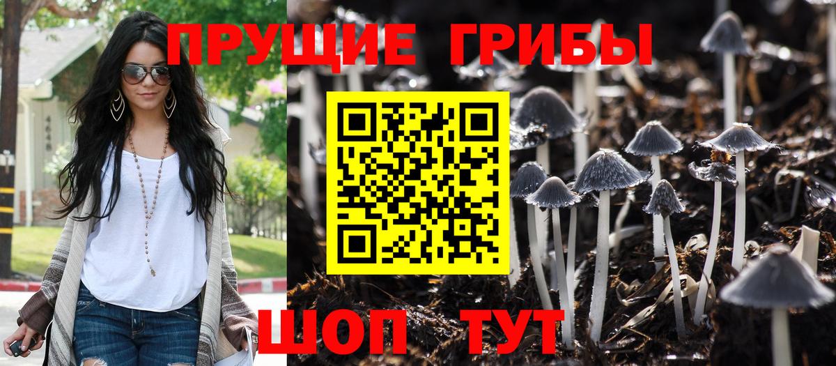 Псилоцибиновые грибы GOLDEN TEACHER  Галлюциногенные грибы мухоморы  Красноярск  Вход с VPN 